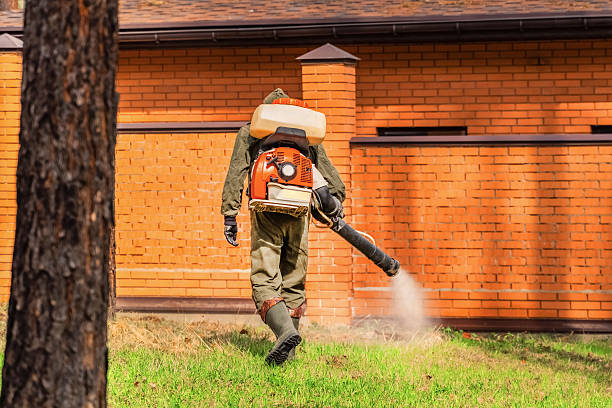 Bed Bug Clearance Verification and Documentation in Mount Vernon